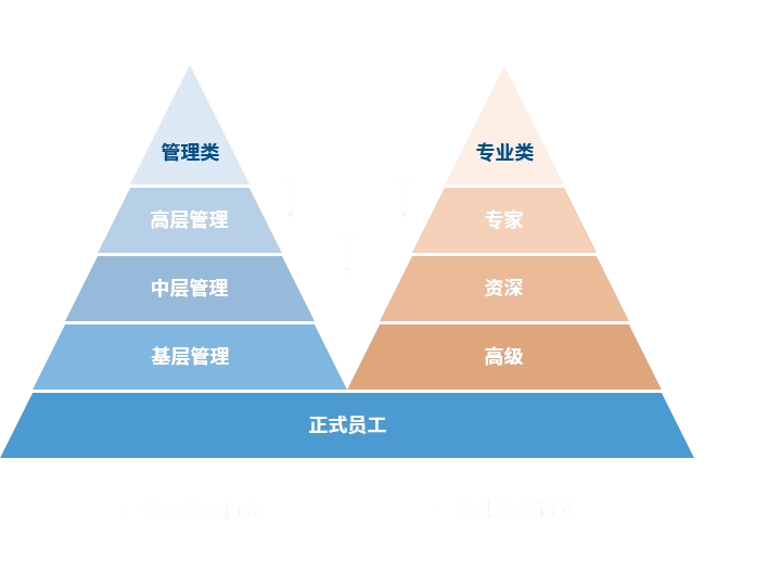 亿万28模拟器-亿万28pg电子-亿万28网页在线玩-亿万28入口网页版-亿万28网页版官方-旺财28加拿大-旺财28官方app下载入口-旺财28赌博-旺财28注册平台入口 